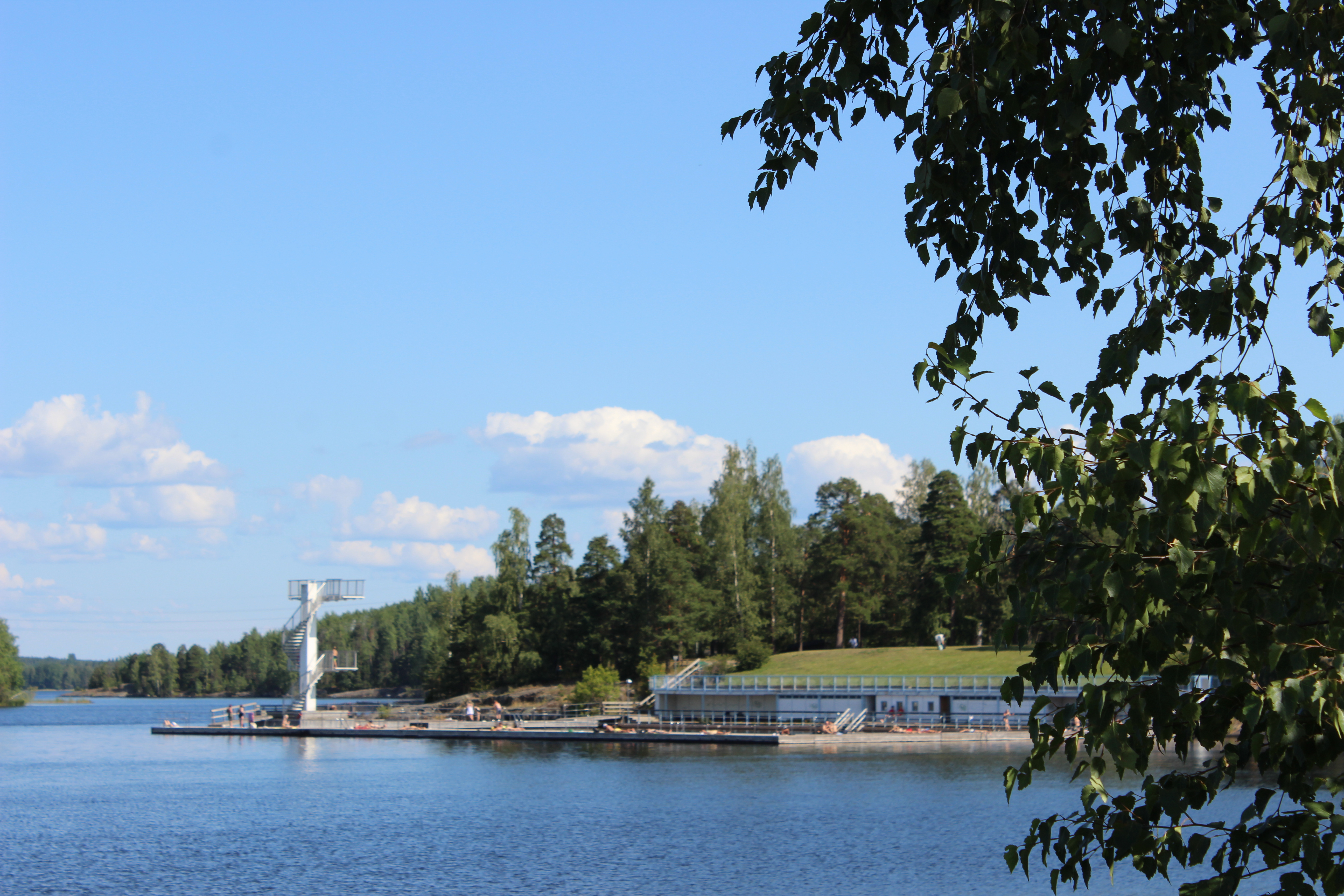 Myllysaaren uimalaitos aurinkoisena päivänä, etualalla koivun oksa.